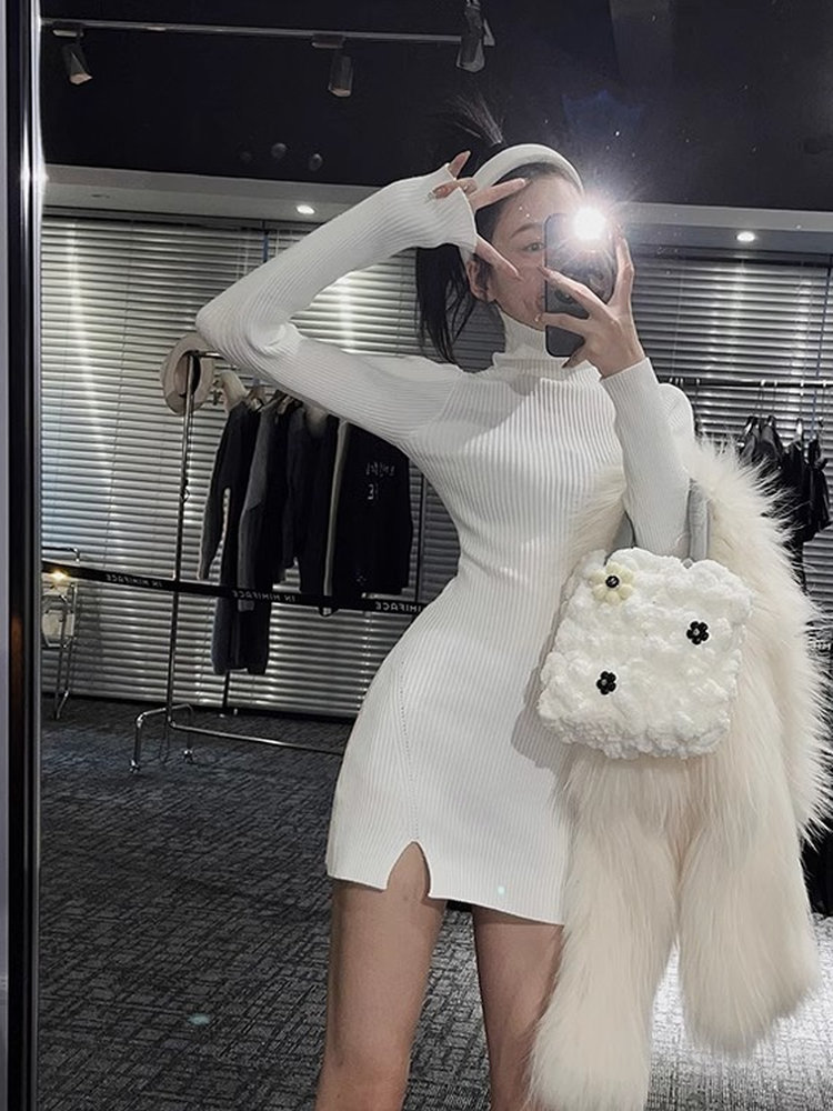 Women Bodycon Mini Knit Dress  - Bodycon Long Sleeve Ribbed Dress 评论和价格