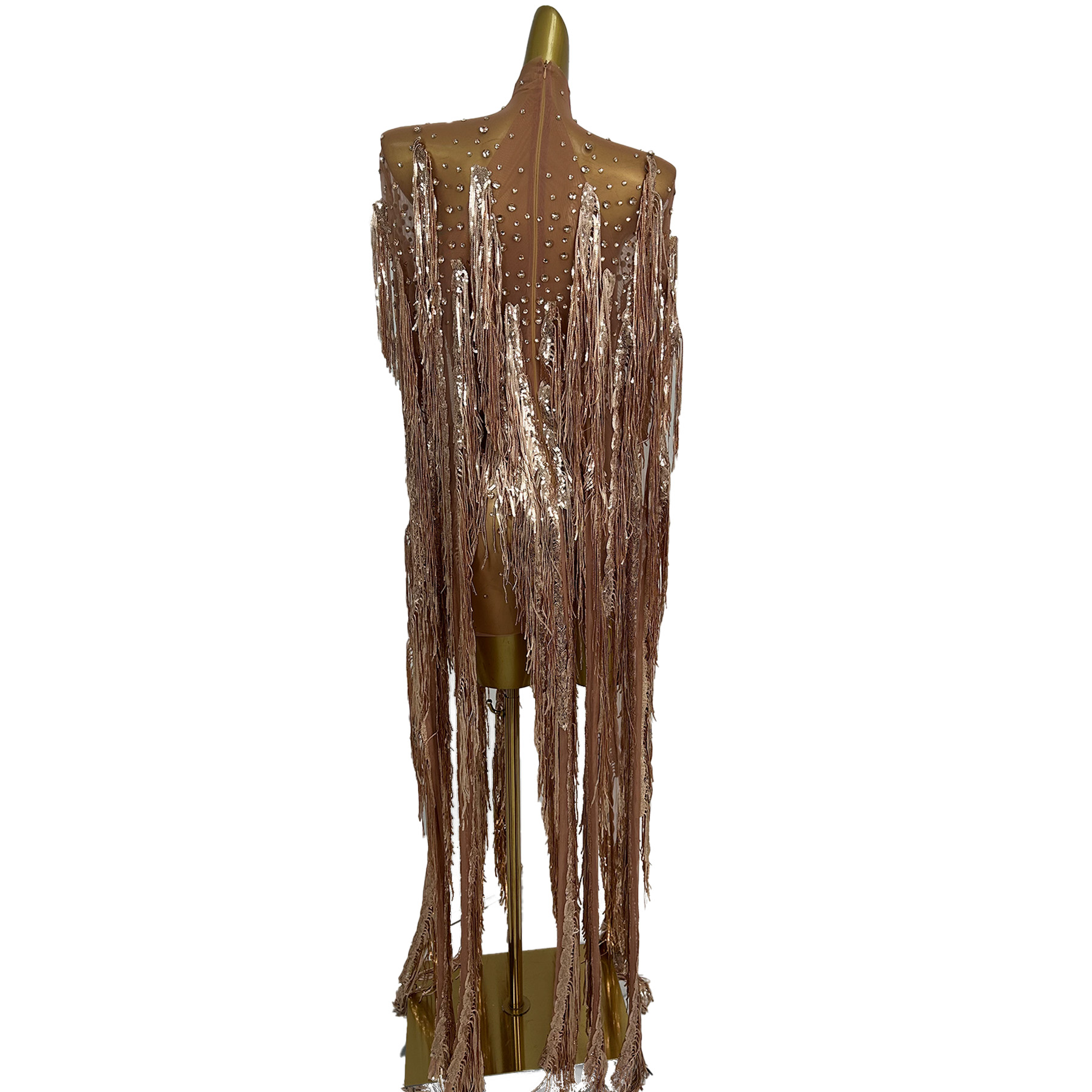 Sparkly Rhinestone Sequins Lon - Sparkly Rhinestone Club Party Dress 评论和价格